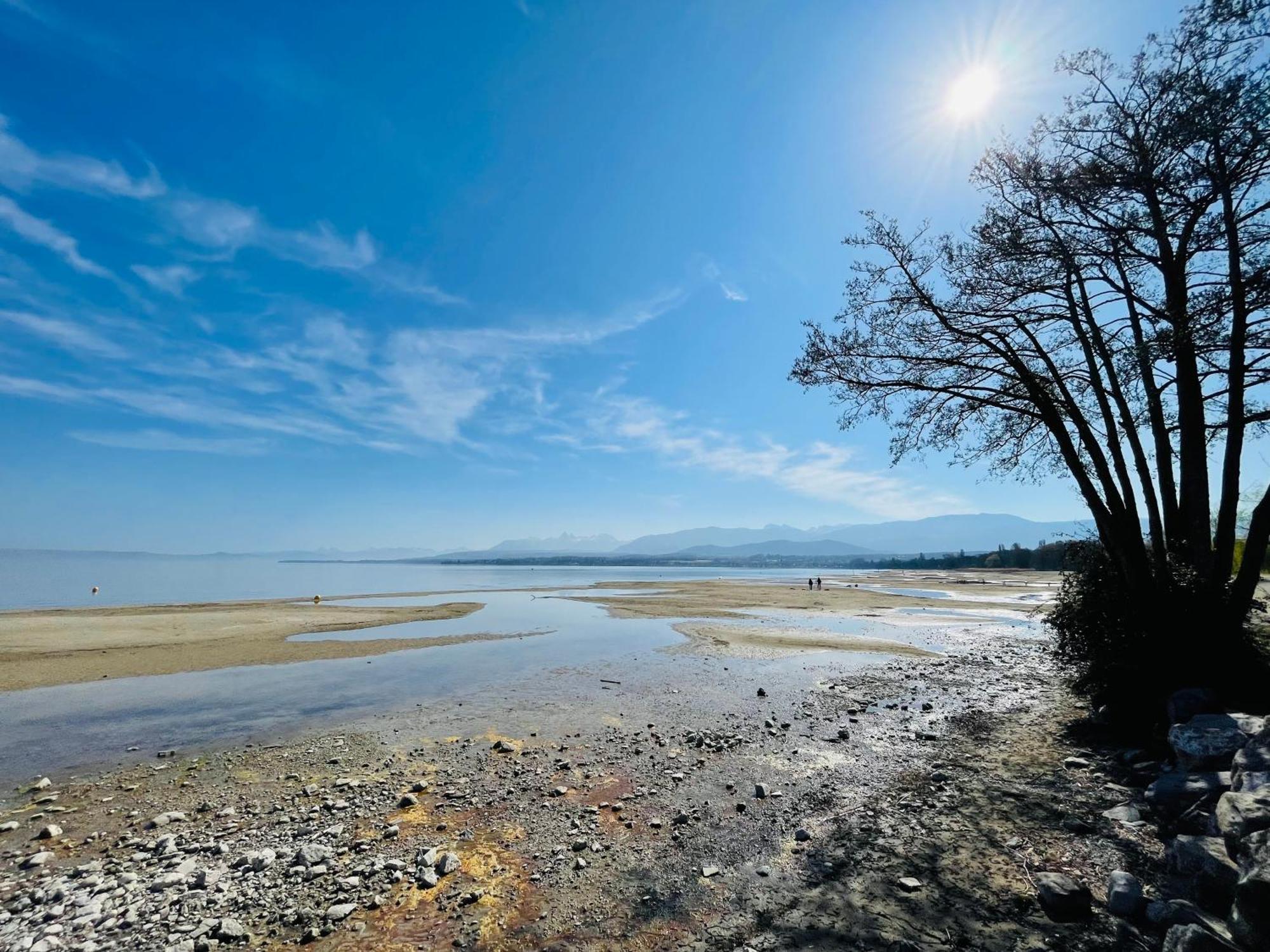 Appartement Cosy Et Confortable A Deux Pas Du Lac 艾克塞恩维克斯 外观 照片